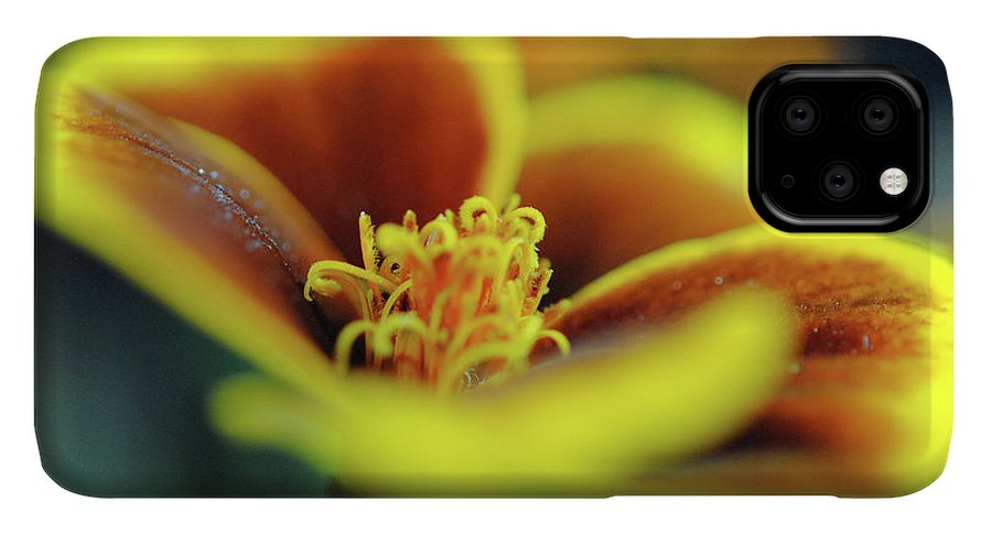 Flowers 177 - Phone Case