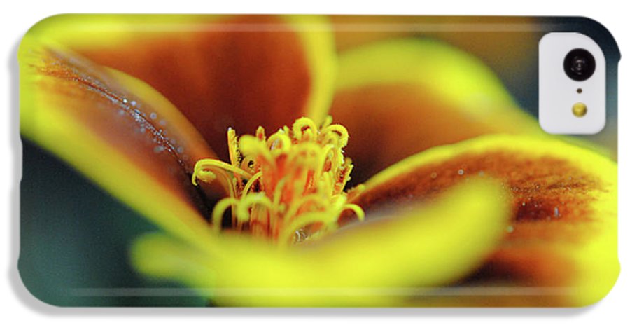 Flowers 177 - Phone Case