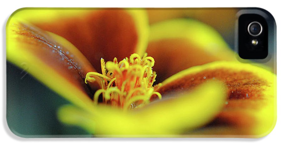 Flowers 177 - Phone Case