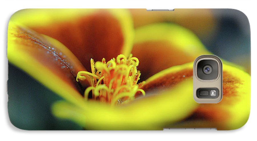 Flowers 177 - Phone Case