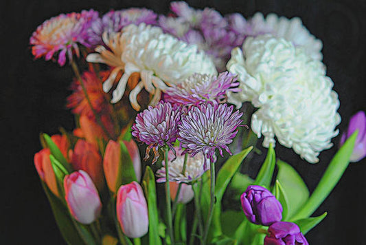 Flowers 202 - Art Print