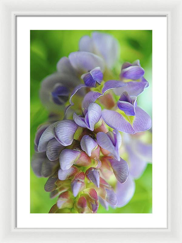 Flowers 2024 - Framed Print