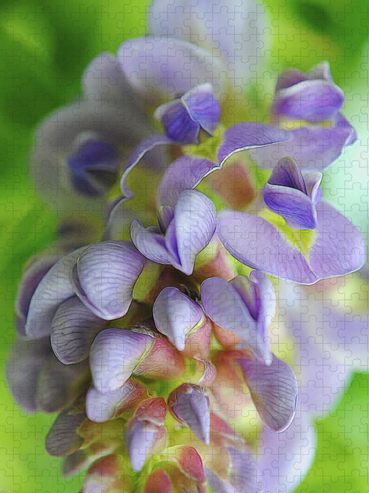Flowers 2024 - Puzzle