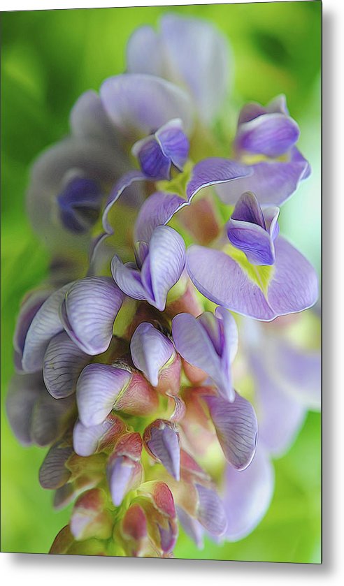 Flowers 2024 - Metal Print