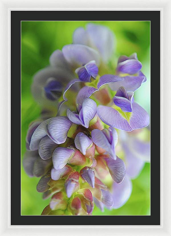 Flowers 2024 - Framed Print