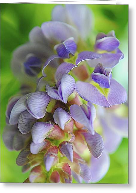 Flowers 2024 - Greeting Card