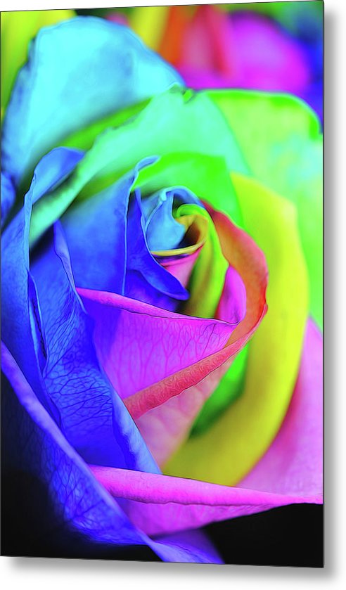 Flowers 2337 - Metal Print