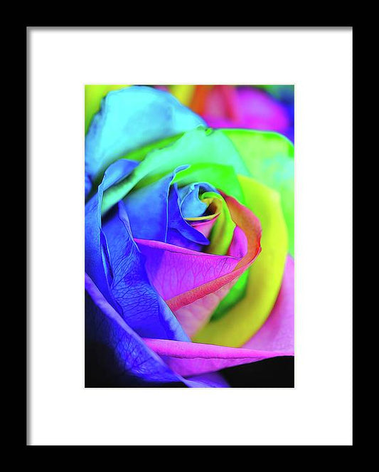 Flowers 2337 - Framed Print