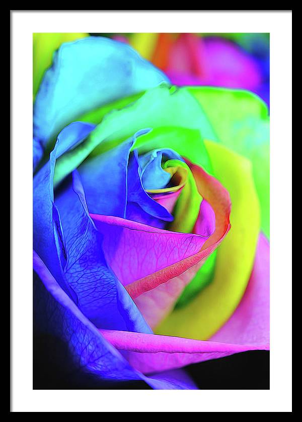 Flowers 2337 - Framed Print