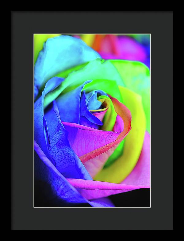 Flowers 2337 - Framed Print