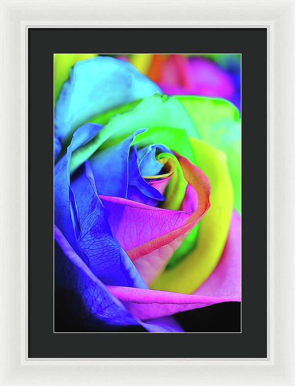 Flowers 2337 - Framed Print