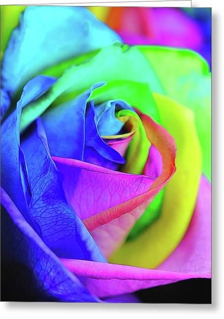 Flowers 2337 - Greeting Card