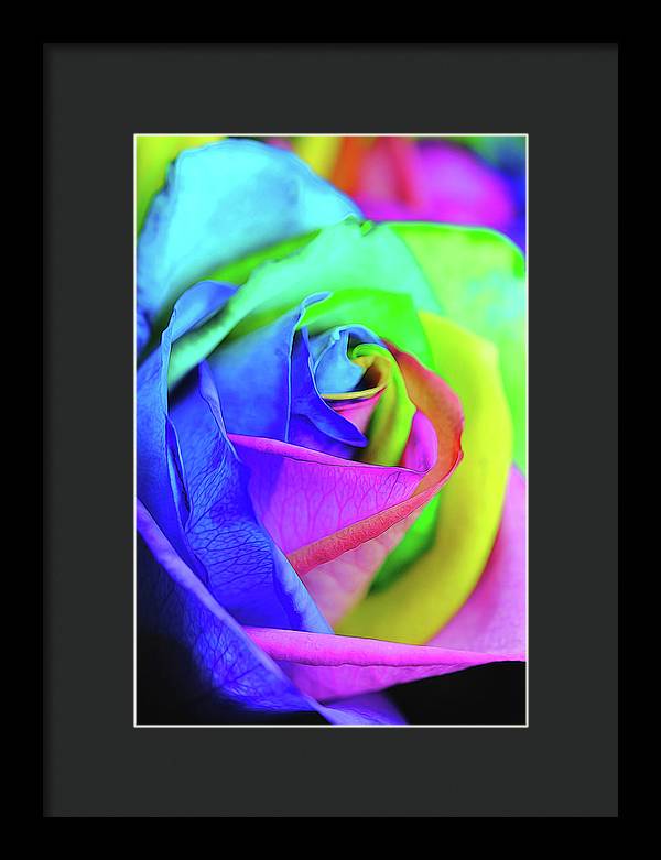 Flowers 2337 - Framed Print