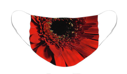 Flowers 2406 - Face Mask
