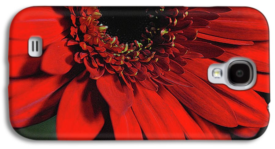 Flowers 2406 - Phone Case