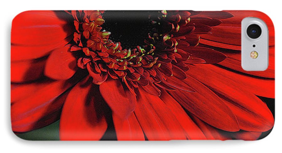 Flowers 2406 - Phone Case