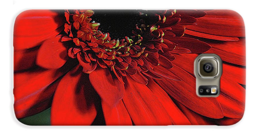 Flowers 2406 - Phone Case