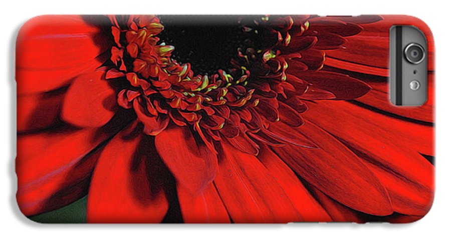 Flowers 2406 - Phone Case