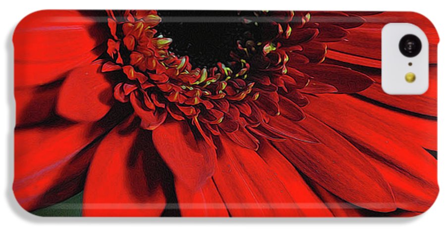 Flowers 2406 - Phone Case