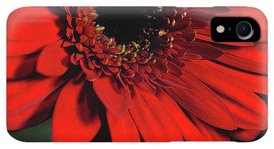 Flowers 2406 - Phone Case