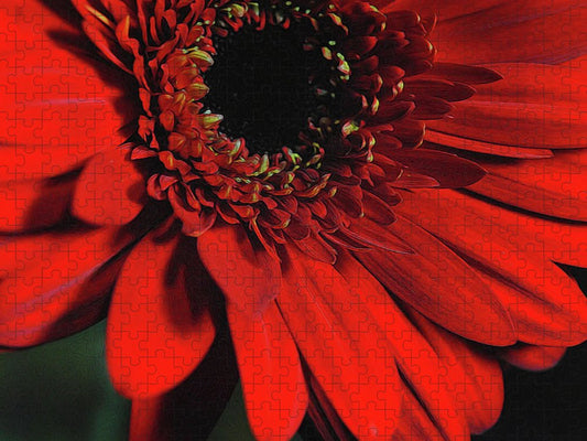 Flowers 2406 - Puzzle
