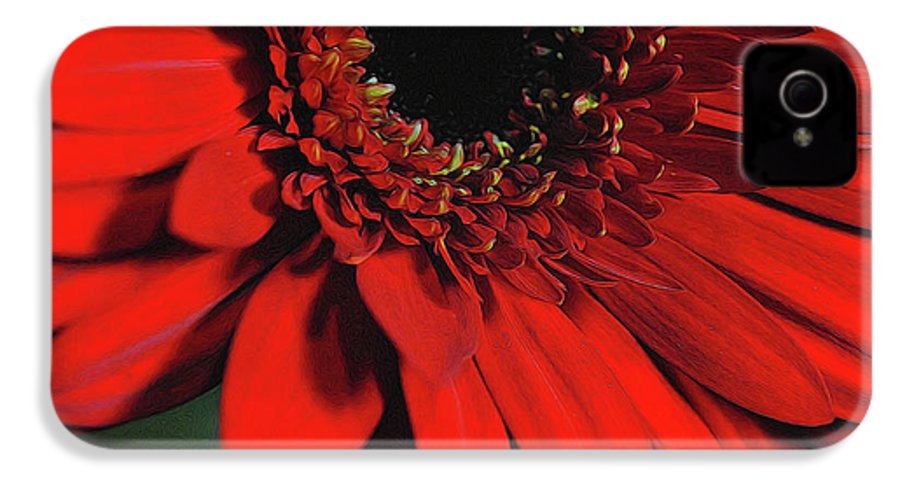 Flowers 2406 - Phone Case