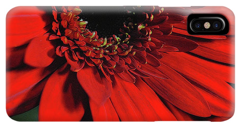 Flowers 2406 - Phone Case