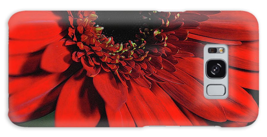 Flowers 2406 - Phone Case