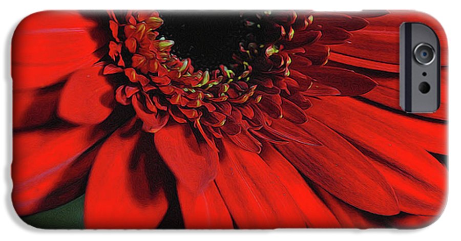 Flowers 2406 - Phone Case