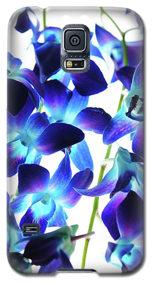 Flowers 2423 - Phone Case
