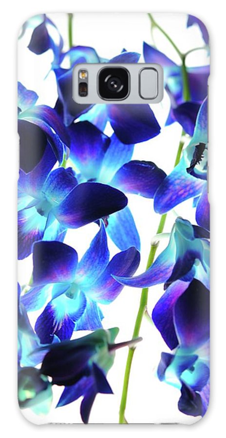 Flowers 2423 - Phone Case
