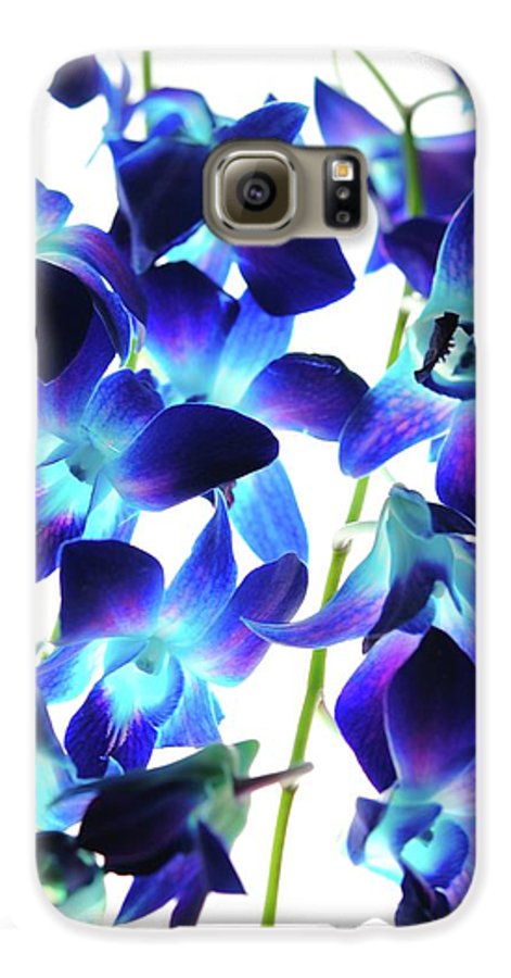 Flowers 2423 - Phone Case