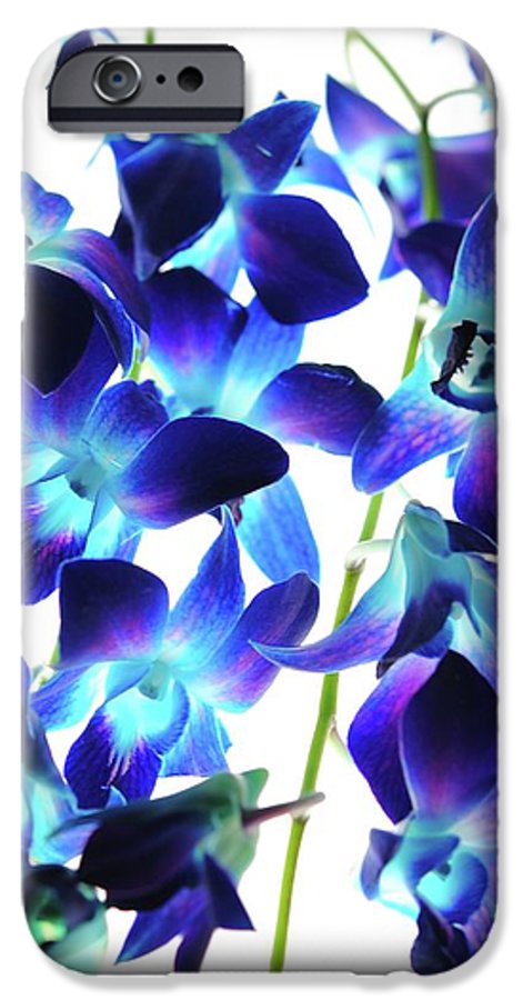 Flowers 2423 - Phone Case
