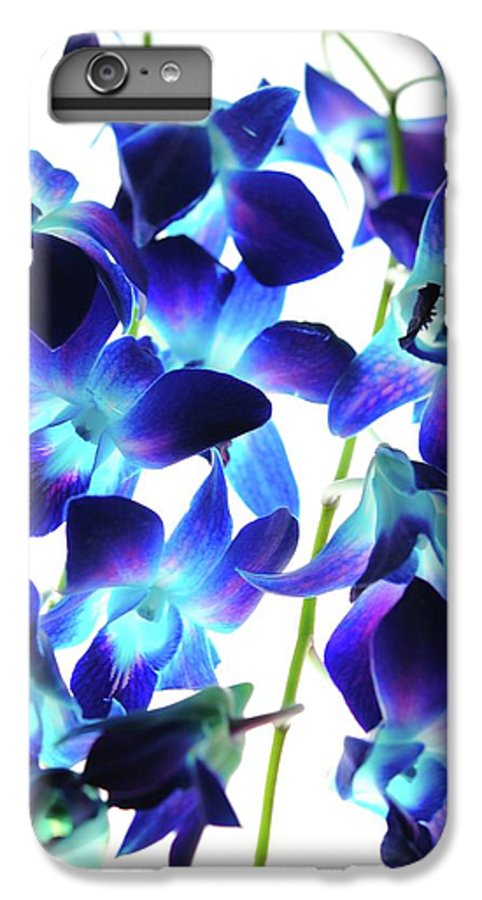 Flowers 2423 - Phone Case