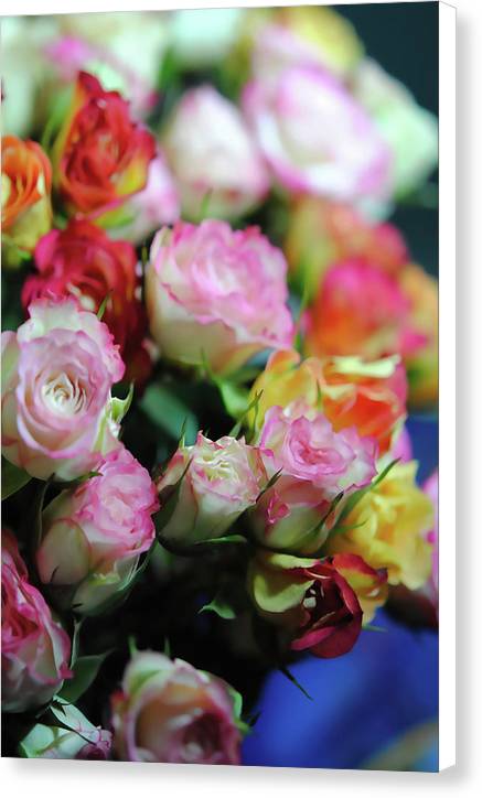 Flowers 260 - Canvas Print