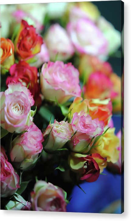Flowers 260 - Acrylic Print