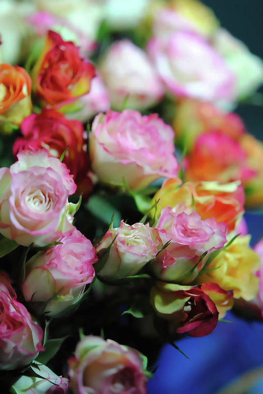 Flowers 260 - Art Print