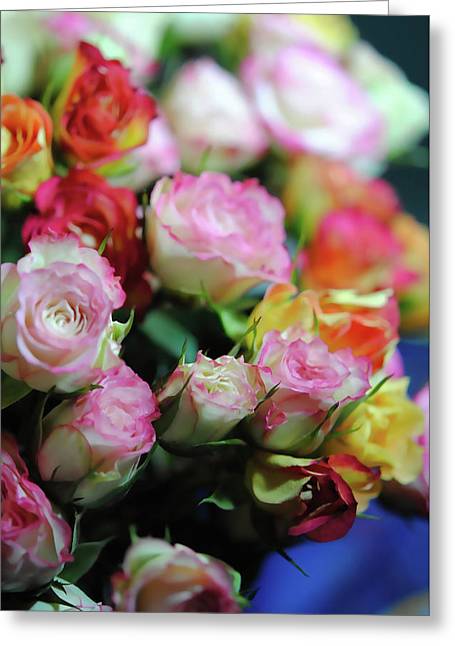 Flowers 260 - Greeting Card
