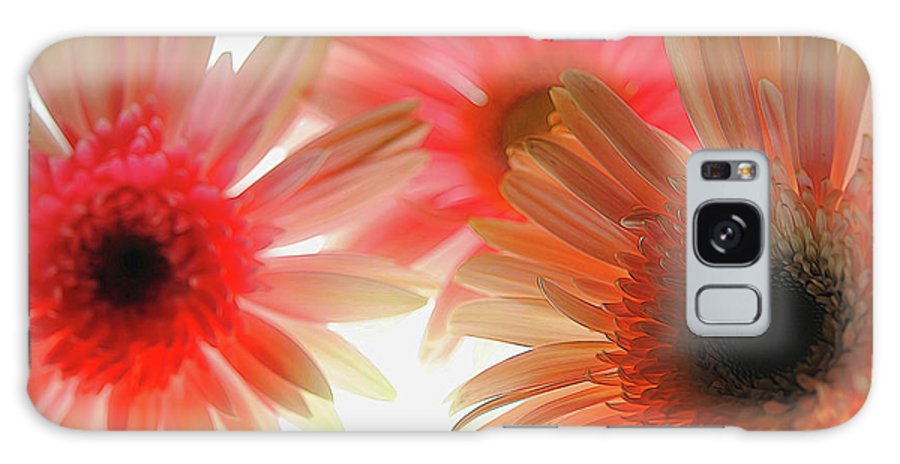 Flowers 2602 - Phone Case