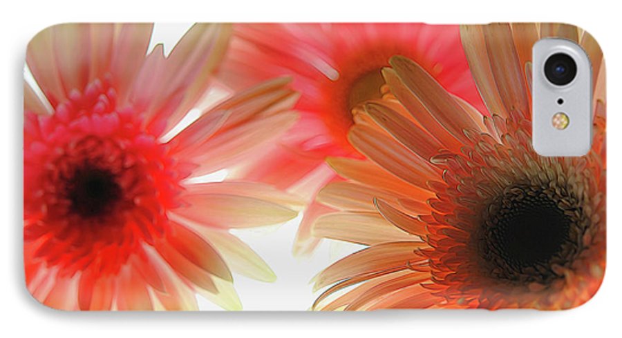 Flowers 2602 - Phone Case