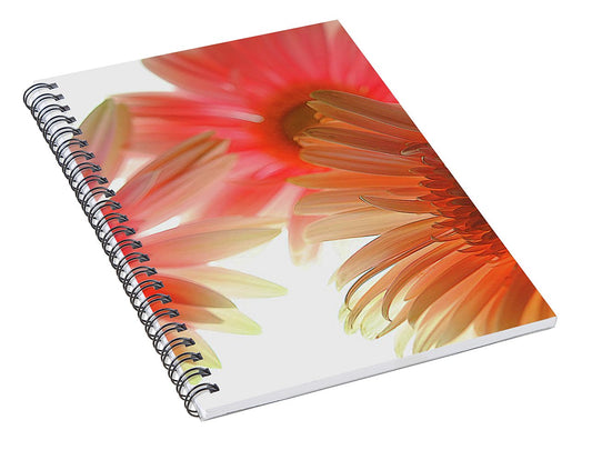 Flowers 2602 - Spiral Notebook