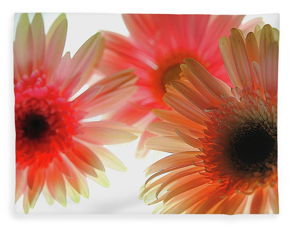 Flowers 2602 - Blanket
