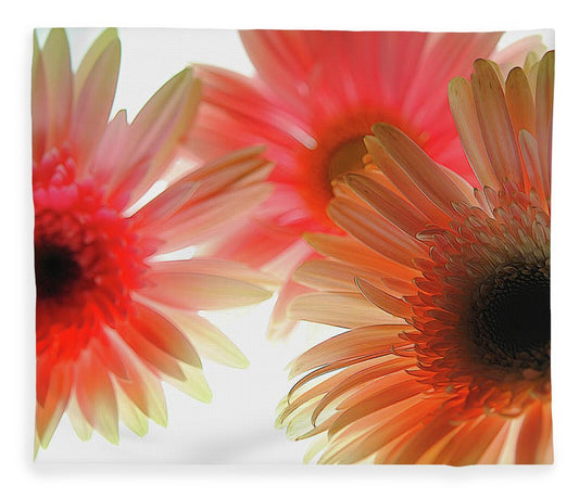 Flowers 2602 - Blanket