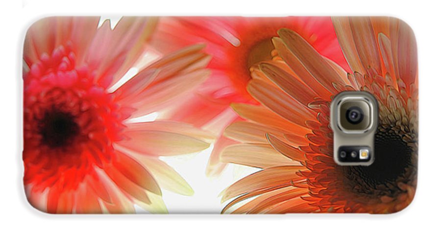 Flowers 2602 - Phone Case