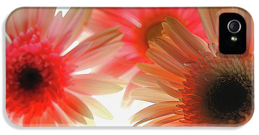 Flowers 2602 - Phone Case