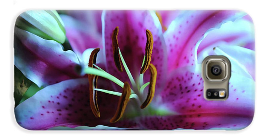 Flowers 32 - Phone Case