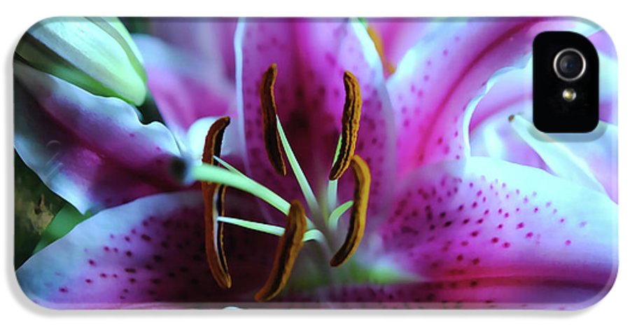 Flowers 32 - Phone Case