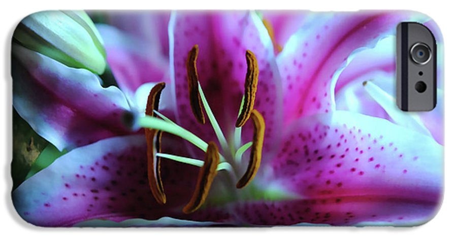 Flowers 32 - Phone Case