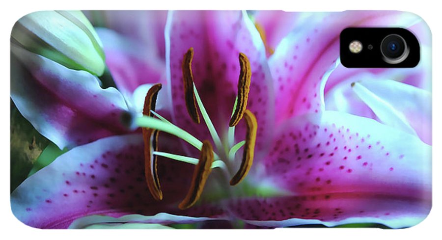 Flowers 32 - Phone Case