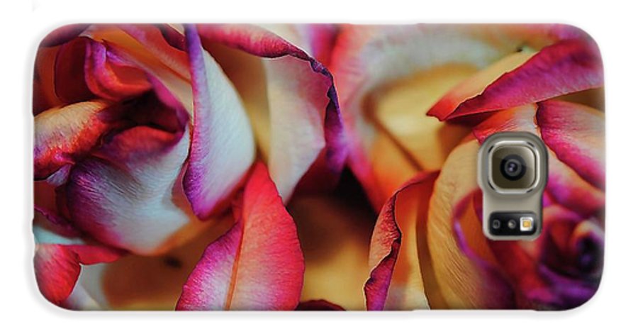 Flowers 76 - Phone Case